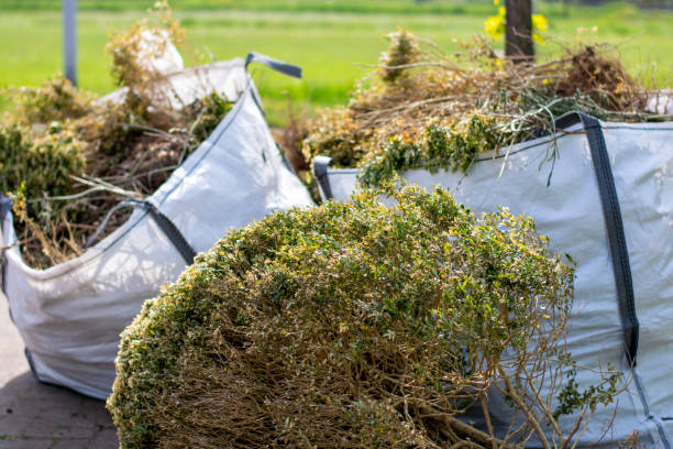 Reliable Ridgeway, AK Junk Removal Services Solutions